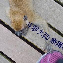 鬥羅大陸 唐舞桐的墮落全文閱讀