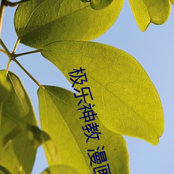 極樂神教 漫畫
