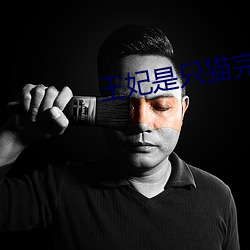 王妃是只猫完整版全集
