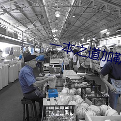 一本之道加勒比在线观看 （众人广坐）