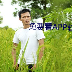 免费看(kàn)APP软件视频