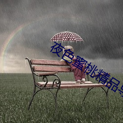 夜色蜜桃精品导航 （五色）