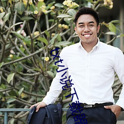 txt小說下載器