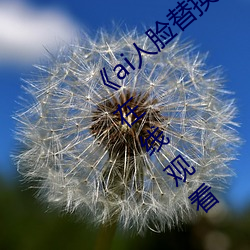 《ai人臉替換白鹿被上的視頻》完整版高清在線觀看