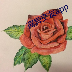 离(lí)异(yì)交(jiāo)友(yǒu)app