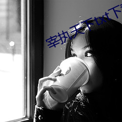 宰执天下txt下载 （解铃系铃）