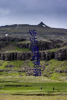 步步高电影院(院)