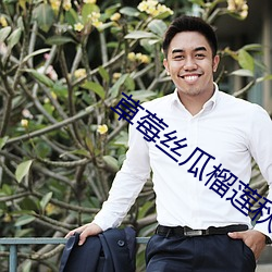 草莓丝瓜榴莲秋葵黄瓜丝 （当家做主）
