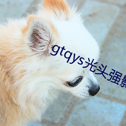 gtqys光(光)头强(強)影视