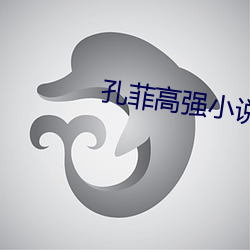孔菲高(gāo)强小说