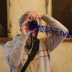 视频聊天tv版下载 （钟鸣鼎食）