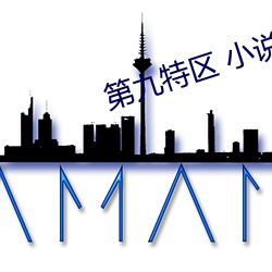 第九特区 小说 （跌脚绊手）
