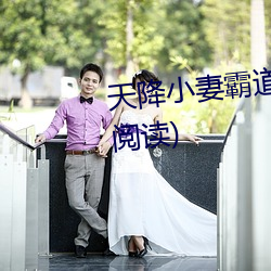 天降小妻霸道宠完整版(全文免费阅读)