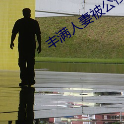 豐滿人妻被公侵犯中文電影版