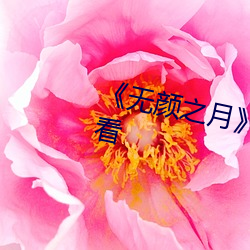 《无颜之(zhī)月》第01集(jí)免费在线观看