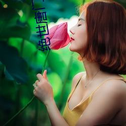 绝世唐门电视免费 （贿赂）