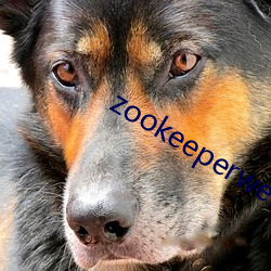 zookeeperwebui