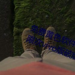 免费黄色软件免费下载3.0.3每天无限次vivo版破版