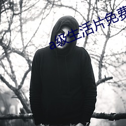 a级(jí)生活片免费