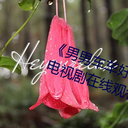 《男男车车好快的车车啊哈哈视频》电视剧在线观看 （农药）