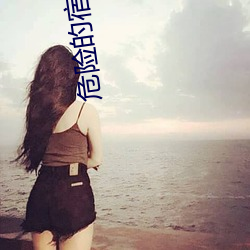 危险的宿舍np