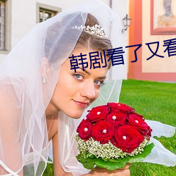 韩剧看了(了)又(又)看(央视版(版))