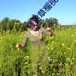 骚货草榴视屏