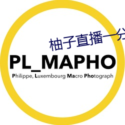 柚子直播一分三块