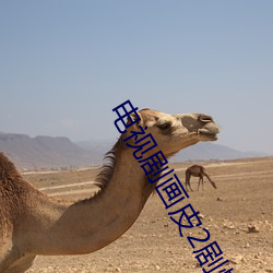 电(diàn)视剧画皮(pí)2剧情介绍(shào)