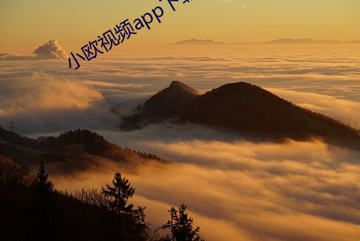 小欧视(視)频(頻)app下载