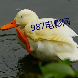 987電影網