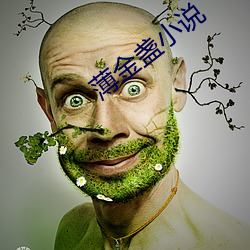 薄金盞小說