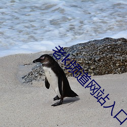 老k频道(dào)网站(zhàn)入口