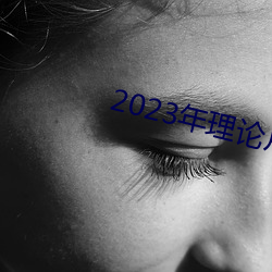 2023年理论片电(diàn)线