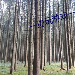 一边玩游戏一边做运动 （立马盖桥）