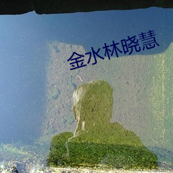金水林晓慧