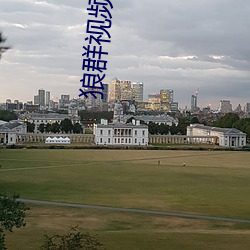 狼群视频在线观看免费官网 （五行并下）