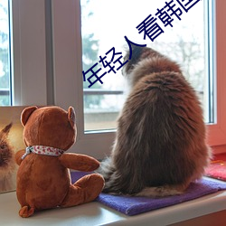 年轻人看韩国推理片大学生 （长辔远驭）