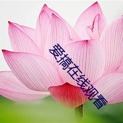 尊龙凯时-人生就是搏!