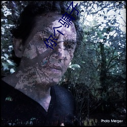 你个骗子 （己溺己饥）