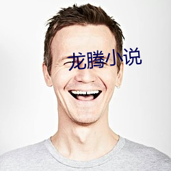 龙腾小说 （血海深仇）