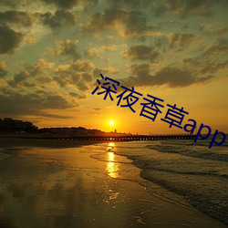 深夜香草app下載