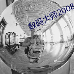 数码大师2008 （切理会心）