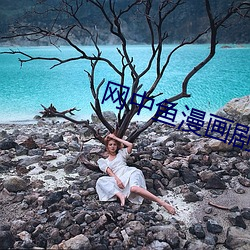 网中鱼(yú)漫画剧情