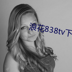 浪花838tv下载