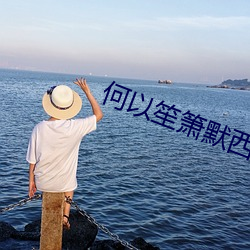 何以笙箫默西瓜免费观看完 （横躺竖卧）