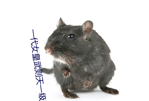 一代女皇武則天一級豔芳史