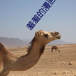 羞羞的漫畫官方在線閱讀頁面