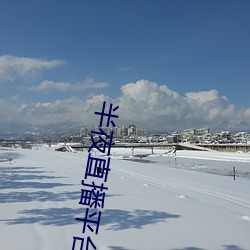 半(bàn)夜(yè)直播平(píng)台