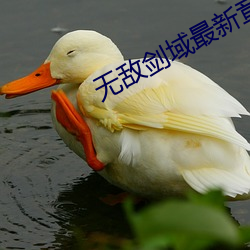 无敌剑域最新章节